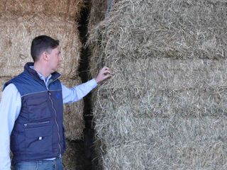 Paolo controlla il fieno imballato