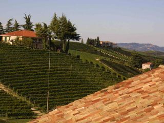 Vigneti a Barolo: altra eccellenza della provincia "Granda" Vigneti a Barolo: altra eccellenza della provincia "Granda"