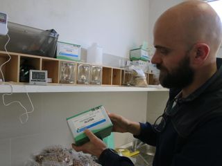 L'apparecchiatura per il controllo della presenza di glutine