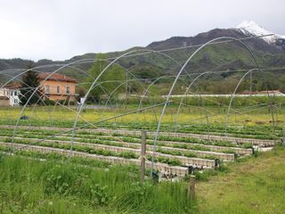 Campi coltivati con la Bisalta sulllo sfondo