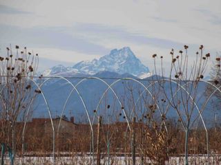 Le serre e il Monviso