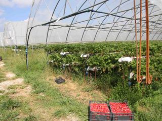 Alcune delle dieci serre a Monastero di Dronero