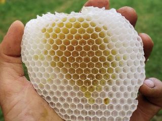 Miele prodotto in azienda