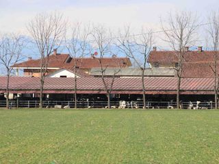 La stalla e la sede dell'azienda