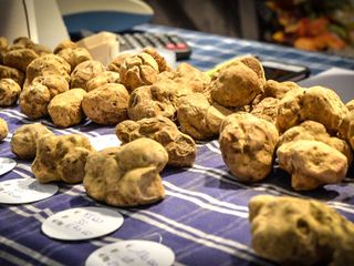 Antonio Degiacomi, presidente del Centro Studi Tartufo, durante la consegna del "Tartufo Reale" 2018