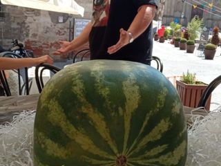 L'anguria cubica di Andrea Bertone