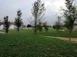 Impiantati alcune decine di nuovi alberi autoctoni (nespoli, susini, noccioli, noci, castagni, querce, faggi, frassini, tigli, aceri, pioppi, salici, betulle, carpini)