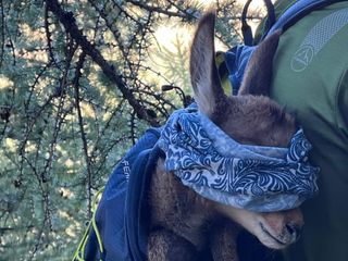 il piccolo paziente nello zaino di un soccorritore