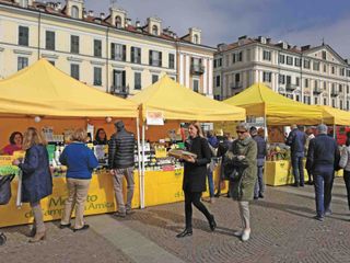 Un mercato di Campagna Amica in piazza Galimberti a Cuneo