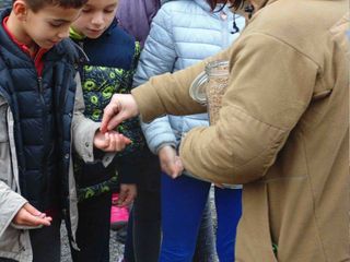 La distribuzione dei semi di Barbarià