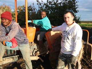 Antony, Emil e Dumitru: tre dipendenti stagionali al lavoro Antony, Emil e Dumitru: tre dipendenti stagionali al lavoro