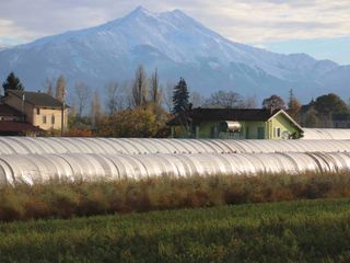 La Bisalta svetta maestosa sullo sfondo La Bisalta svetta maestosa sullo sfondo