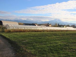 Alcuni tunnel e terreni dell'azienda Alcuni tunnel e terreni dell'azienda