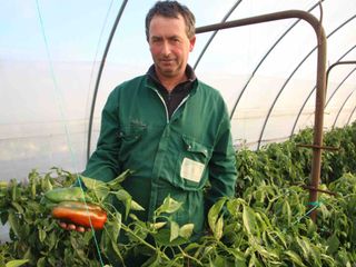 Il tunnel con i peperoni Il tunnel con i peperoni