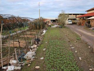 L'ingresso all'azienda L'ingresso all'azienda
