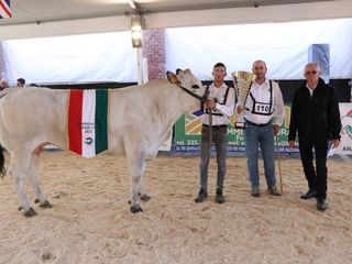 Fra le vacche si è imposta campionessa assoluta Zambia, orgoglio della Società agricola Delsoglio di Fossano