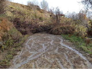 Frana in strada Cascine