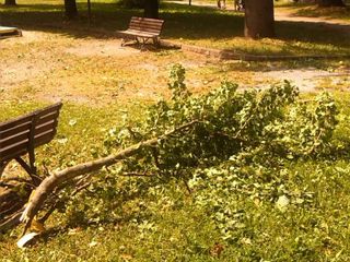 Giardini pubblici di via Cornice