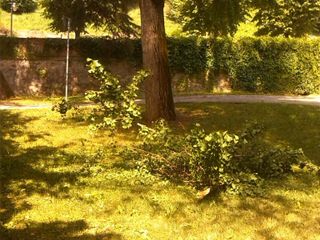 Giardini pubblici di via Cornice