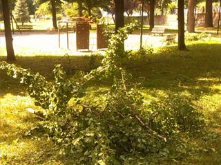 Giardini pubblici di via Cornice