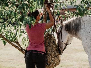Nella fotogallery di Barbara Guazzone Jessica Riviera e la cavalla Fatima al loro passaggio a Cascina Carlotta Nella fotogallery di Barbara Guazzone Jessica Riviera e la cavalla Fatima al loro passaggio a Cascina Carlotta