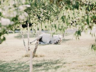 Nella fotogallery di Barbara Guazzone Jessica Riviera e la cavalla Fatima al loro passaggio a Cascina Carlotta Nella fotogallery di Barbara Guazzone Jessica Riviera e la cavalla Fatima al loro passaggio a Cascina Carlotta