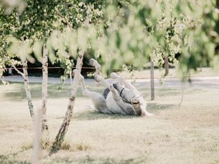 Nella fotogallery di Barbara Guazzone Jessica Riviera e la cavalla Fatima al loro passaggio a Cascina Carlotta Nella fotogallery di Barbara Guazzone Jessica Riviera e la cavalla Fatima al loro passaggio a Cascina Carlotta