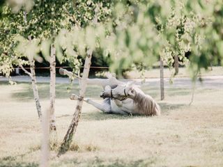 Nella fotogallery di Barbara Guazzone Jessica Riviera e la cavalla Fatima al loro passaggio a Cascina Carlotta Nella fotogallery di Barbara Guazzone Jessica Riviera e la cavalla Fatima al loro passaggio a Cascina Carlotta