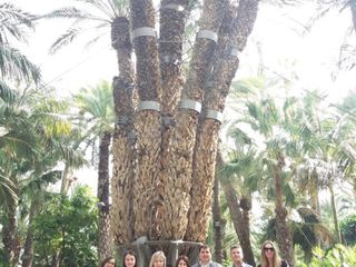 Due le docenti montatesi accolte a Elche, in Spagna