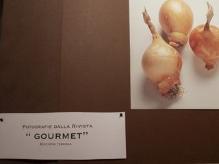 Fotogallery di Barbara Guazzone Fotogallery di Barbara Guazzone