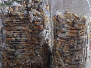 I mozziconi di sigarette raccolti