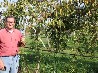 Dopo la raccolta Dopo la raccolta