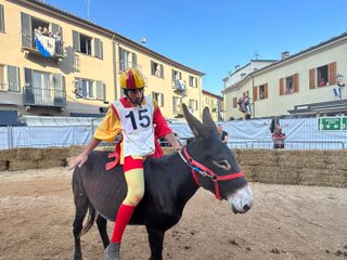 Foto Comune di Alba Foto Comune di Alba