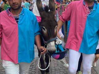 Ph. Mauro Gallo Foto, Alba Ph. Mauro Gallo Foto, Alba