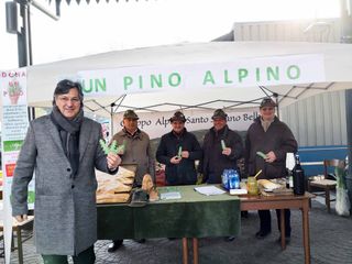 Un "Pino alpino", per aiutare le zone del Veneto devastate dal maltempo delle scorse settimane