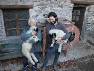 Luigi e Daniele con due pecore di razza Muso Nero del Vallese