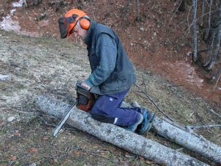 Luigi al lavoro nel bosco