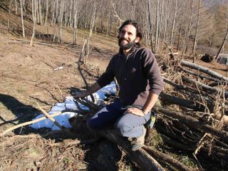 Gli alberi abbattuti per far posto al nuovo campo di patate