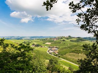 Un paesaggio del Roero (Ph. Treevision)