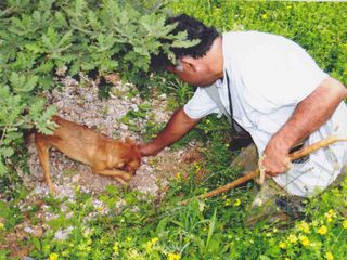 Franco e il cane Briciola al lavoro