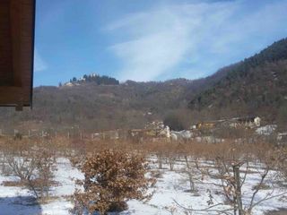 Una tartufaia di nero pregiato coperta dalla neve