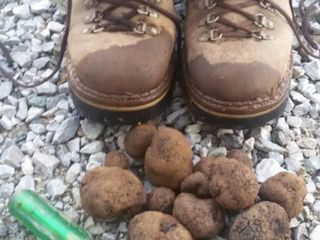 Dopo una buona raccolta