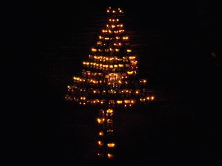 Foto di Marco Fortunato