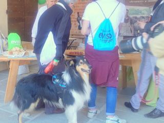 SAluzzo, momento della passeggiata eViso go