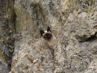 Scatti che documentano l'impresa di Willy sulla Rocca La Meia