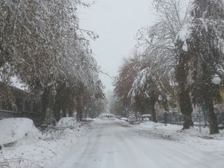 Saluzzo, corso IV Novembre chiuso da ordinanza Saluzzo, corso IV Novembre chiuso da ordinanza