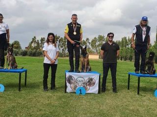Carlo Alberto Cungi con il cane Oxa si è aggiudicato il titolo di campione sociale nella specialità ricerca in Maceria IPO-R T/B Carlo Alberto Cungi con il cane Oxa si è aggiudicato il titolo di campione sociale nella specialità ricerca in Maceria IPO-R T/B