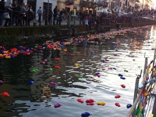 Immagini di Cracking Art ai Navigli di Milano