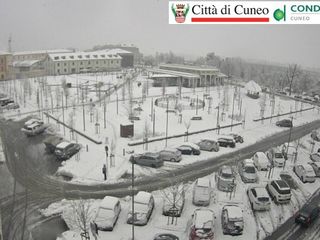 Cuneo