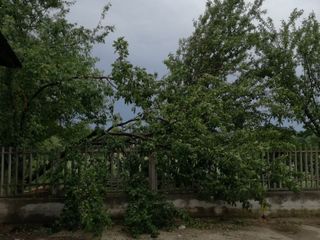 Danni da temporale a Trinità